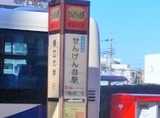 東武スカイツリーライン「せんげん台駅」西口から朝日バス「埼玉県立大学」方面へご乗車していただき、次のバス停「千間台西三丁目」で下車ください。