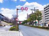 【広島大学方面からお越しの方】
県道195号線（ブールバール）を
「西条駅」方面に向かって直進してください。