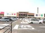 イオンタウン宇多津の専用駐車場をご利用いただけます。
駐車場1330台、駐輪場500台ご用意。