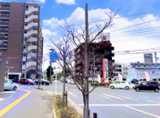 仲伏沖交差点を直進していただくと、
左手にゆめタウンの駐車場入口があります。