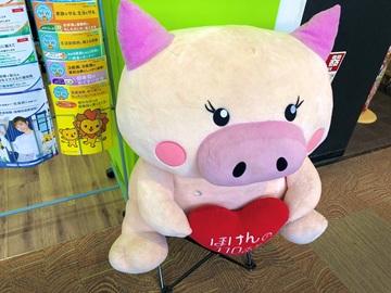 ほけんの１１０番　モラージュ佐賀店