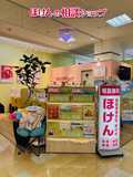 ほけんの相談ショップ　ダイエー宝塚中山店