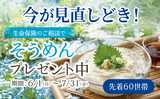 保険デザイン　コノミヤ放出店