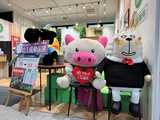 ほけんの１１０番　ハローデイさくらの森熊本益城インター店