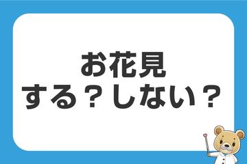 お花見する？しない？