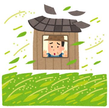 火災保険で台風対策!