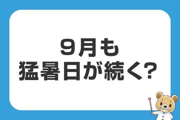 今日から9月ですね