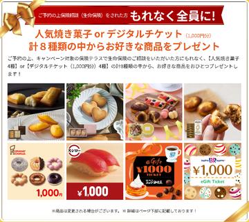 【保険テラス限定キャンペーン実施中！】～２０２６年１月１日～２０２６年３月３１日まで