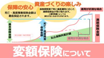 保険で資産運用?!