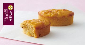 春の御成約キャンペーン実施中