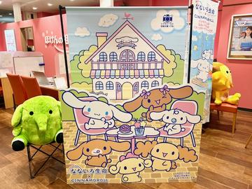 シナモロールが店舗に遊びに来たよ！