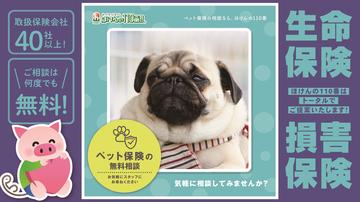 ペット保険