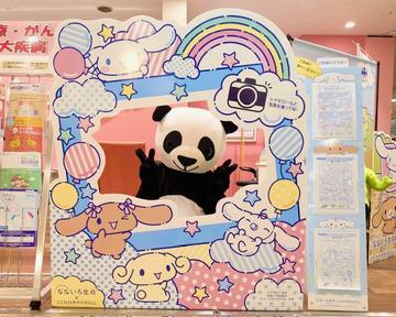 パンダが店舗にあそびにくるかも！？