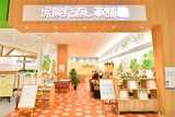 保険見直し本舗　イオンモール浦和美園店