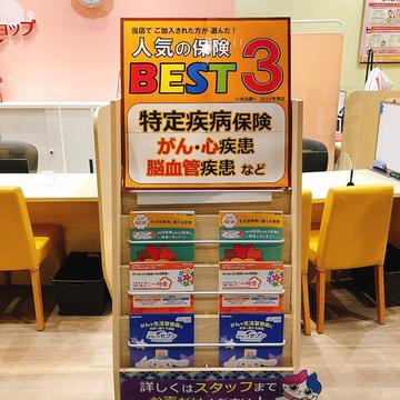 10月のパンフレットラックは…?
